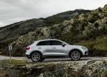 Audi Q3 Advanced 2018 года (WW)